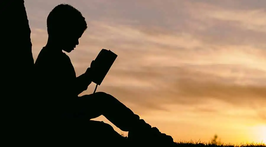 consecuencias del bullying