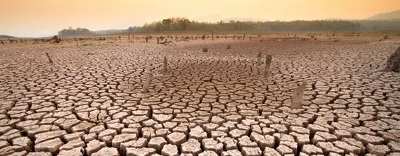El cambio climático
